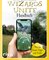 Das inoffizielle Wizards-Unite-Handbuch