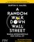 A Random Walk Down Wallstreet – warum Börsenerfolg kein Zufall ist