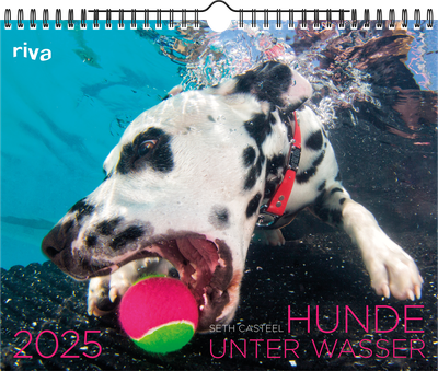Hunde unter Wasser 2025 - Wandkalender